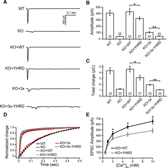 FIGURE 6: