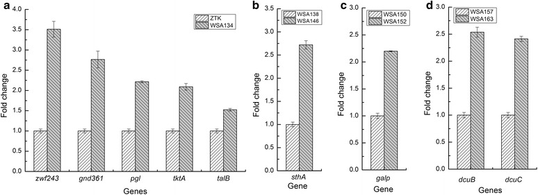 Fig. 3