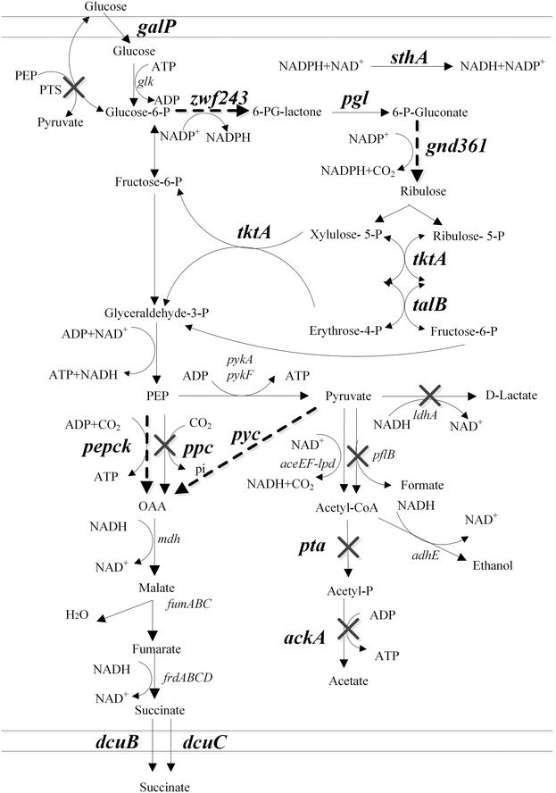 Fig. 1