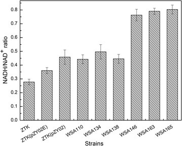 Fig. 2