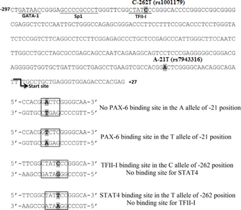 Figure 1