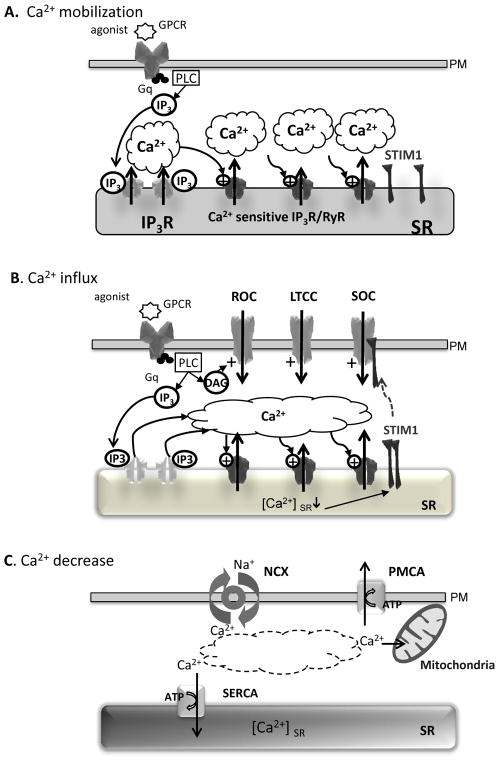 Fig. (1)