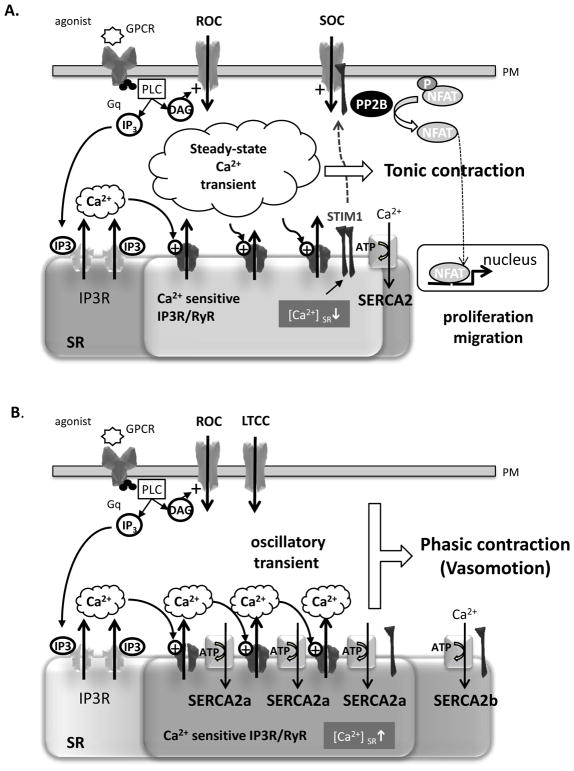 Fig. (6)