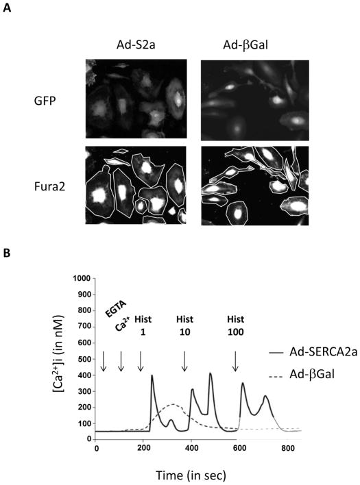 Fig. (5)