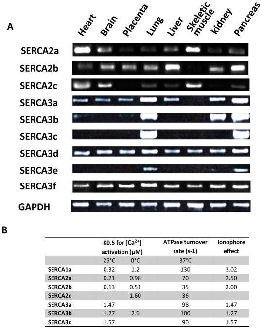 Fig. (3)