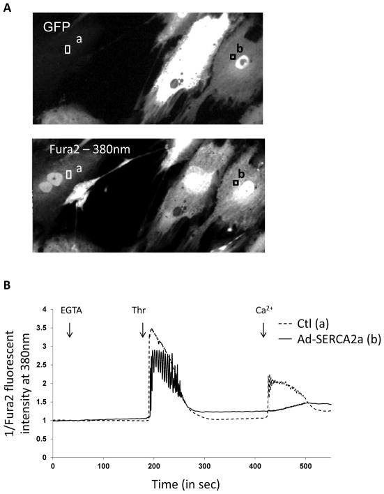 Fig. (7)