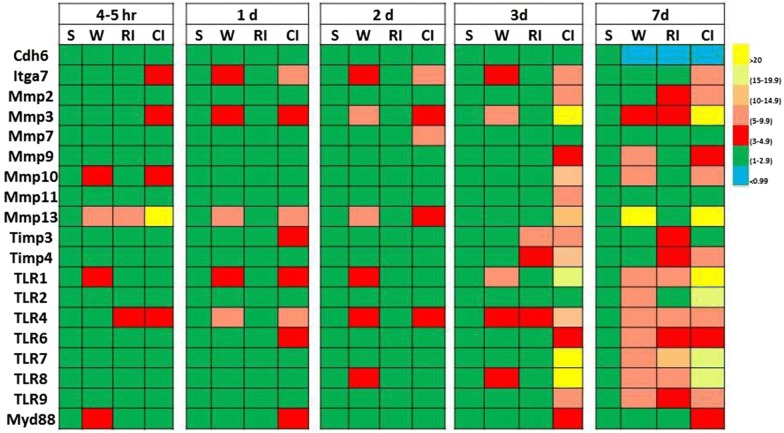 graphic file with name 13578_2019_286_Tab4_HTML.jpg