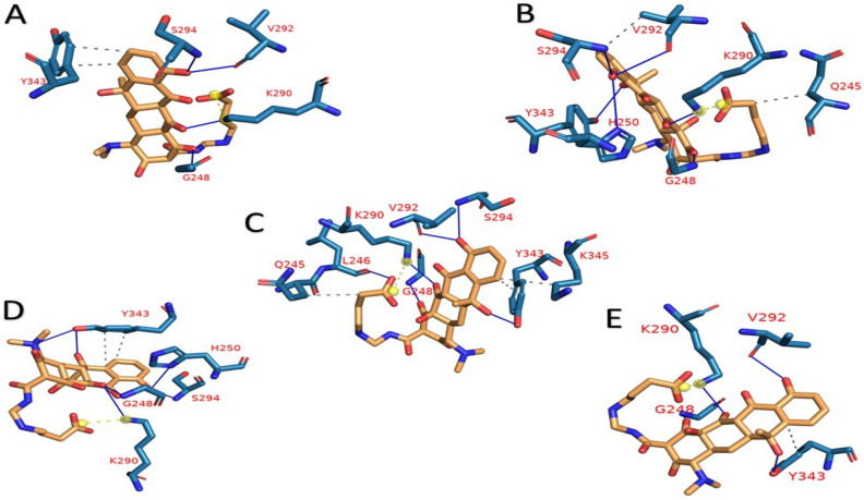 Figure 5