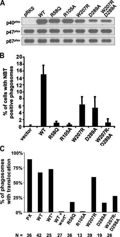 Figure 5.