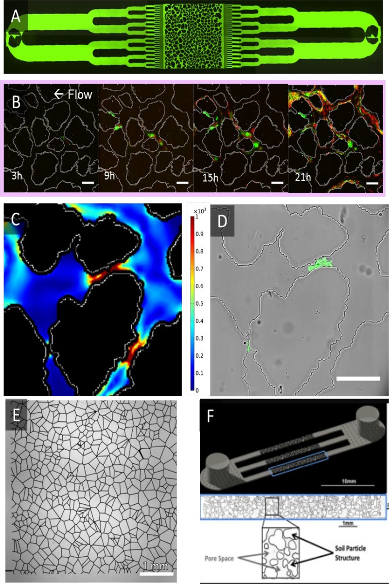 FIG 3