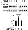 Fig. 5.