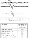 Figure 3—figure supplement 1.
