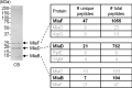 Figure 1—figure supplement 3.