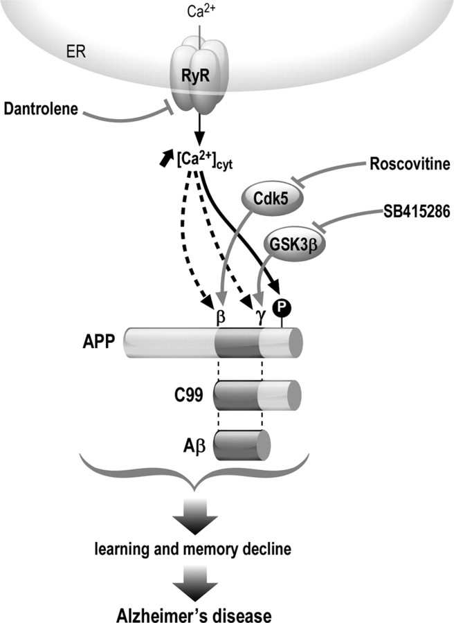 Figure 9.