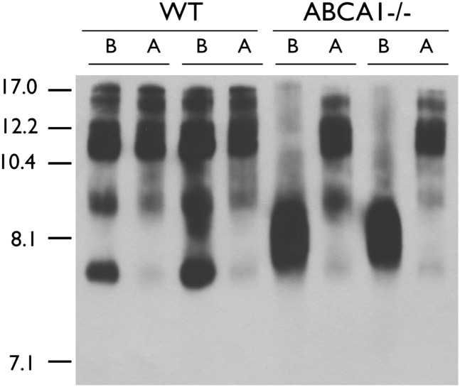 Fig. 3.