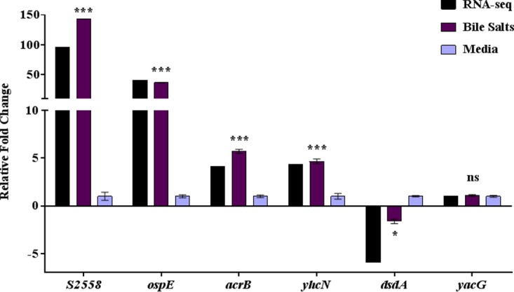 FIG 7