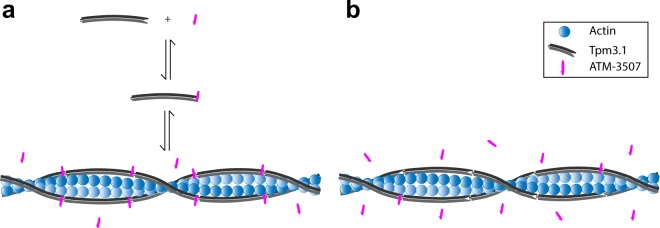 Figure 8