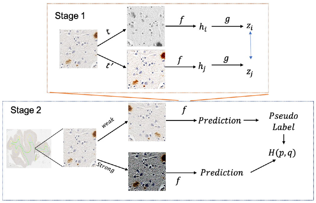 Fig. 1.