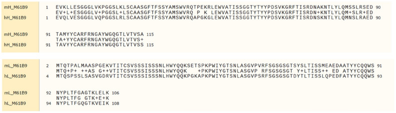 Immunoreactivity Of Humanized Single-chain Variable Fragment Against 