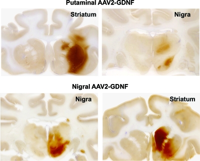 FIG. 8.