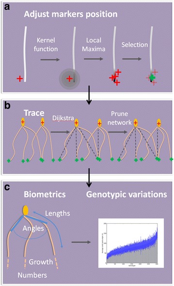 Fig. 4