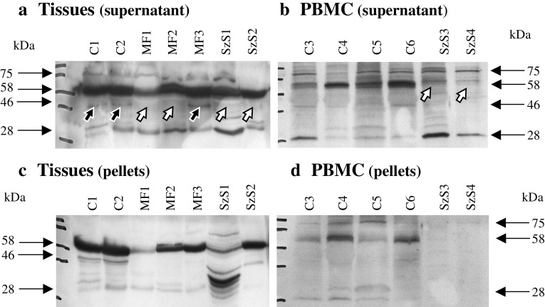 Fig. 4