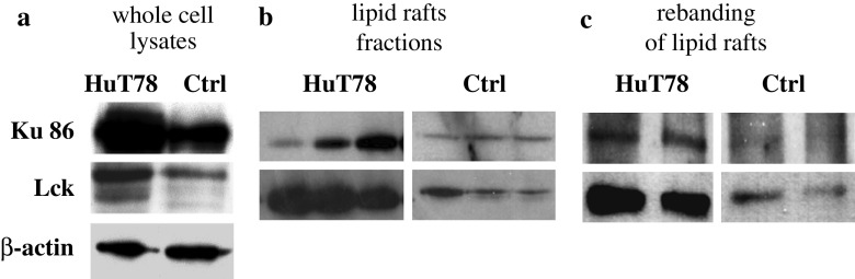 Fig. 5