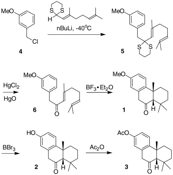 Scheme 2