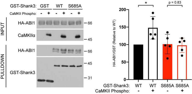 Figure 4: