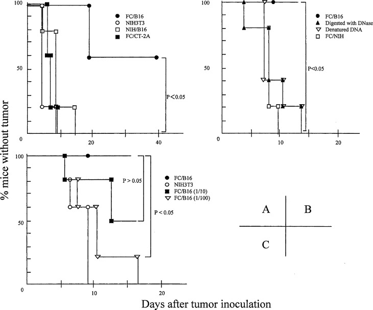 Fig. 3A–C