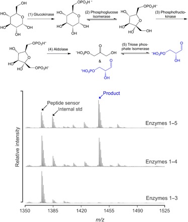 Fig. 3