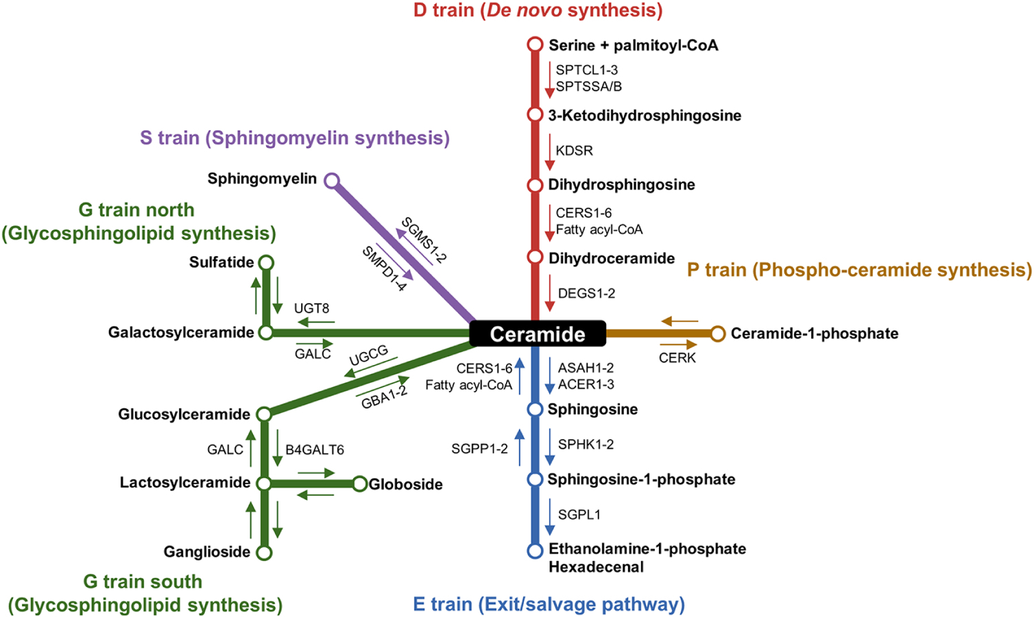 Figure 1.