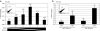 <b>Figure 2</b>