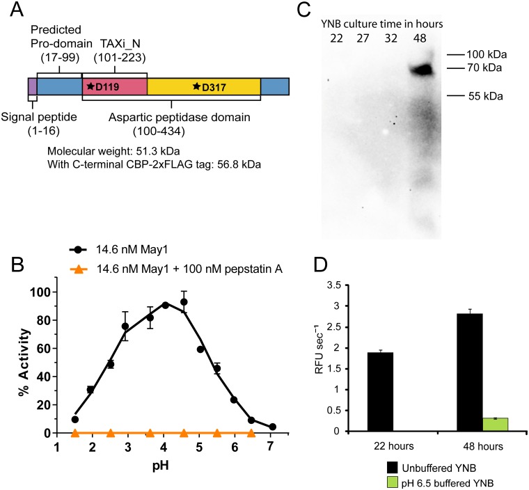 Fig 4