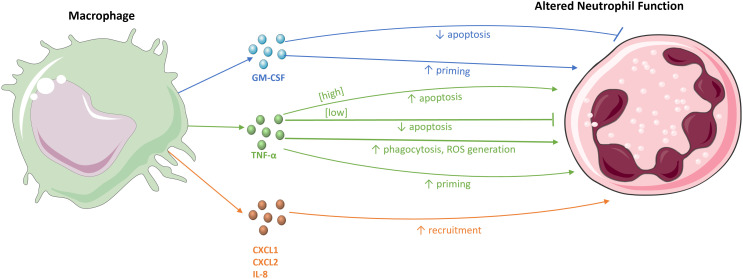 Figure 2