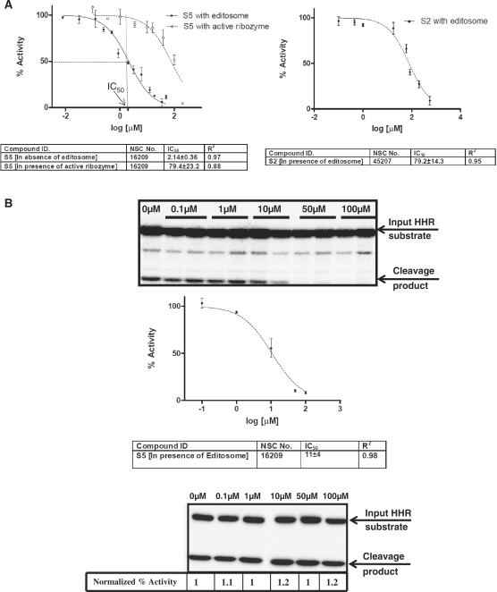 Figure 6.