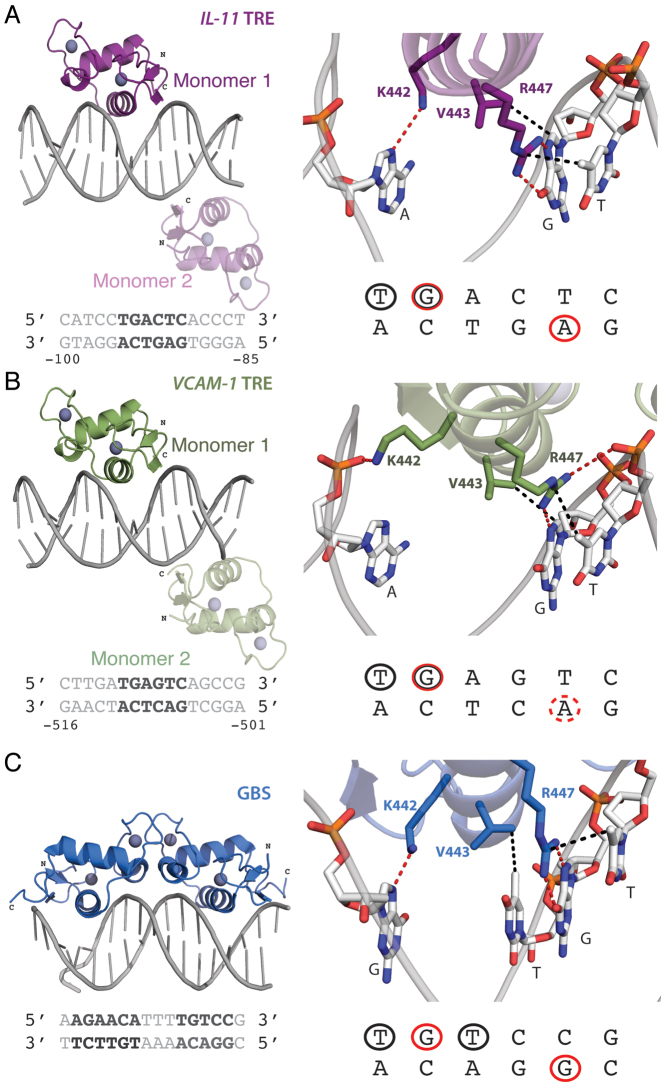 Figure 5.