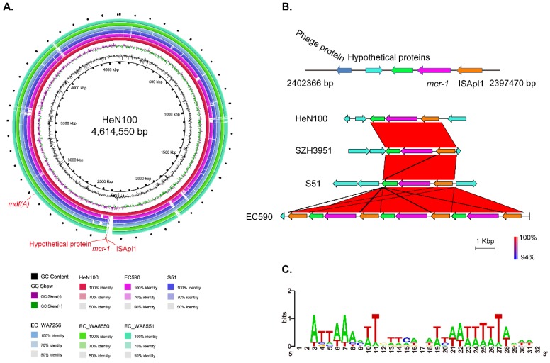 Figure 4