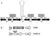 FIG. 1.