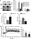 <b>FIG. 2.</b>