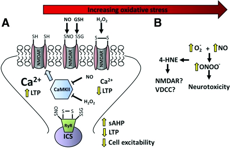 FIG. 8.