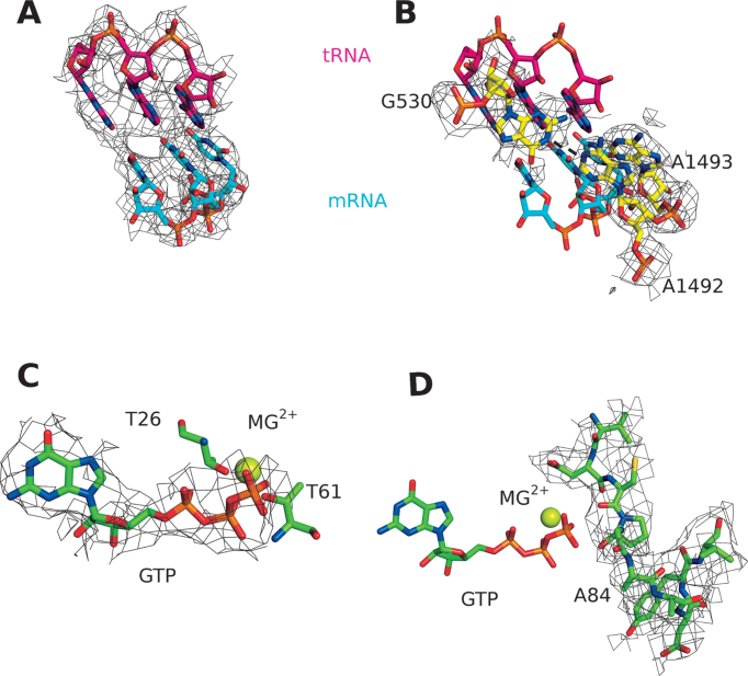 Figure 2.