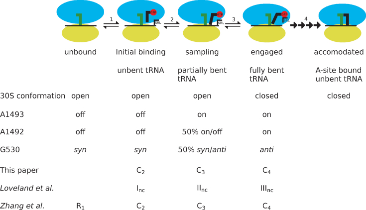 Figure 7.