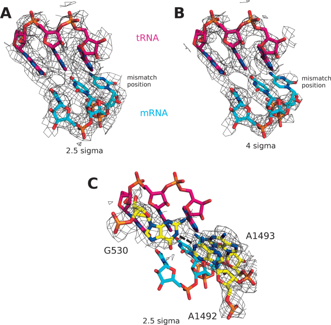 Figure 3.