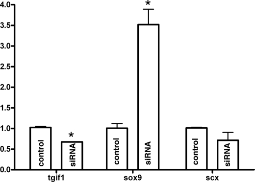 FIGURE 10.