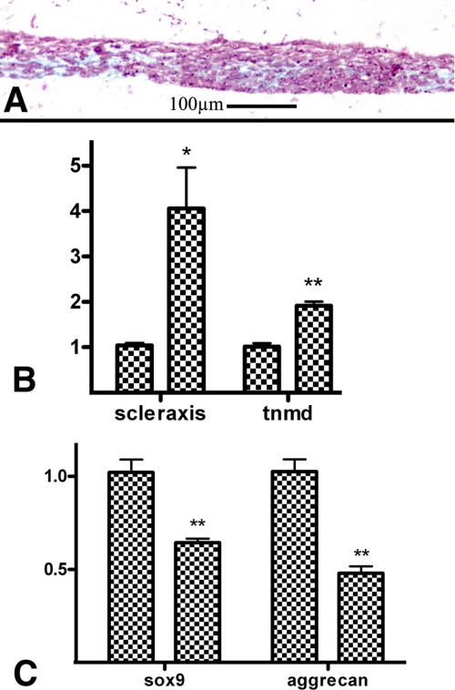 FIGURE 9.