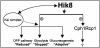 FIG. 5.