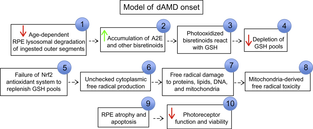 Figure 4.2