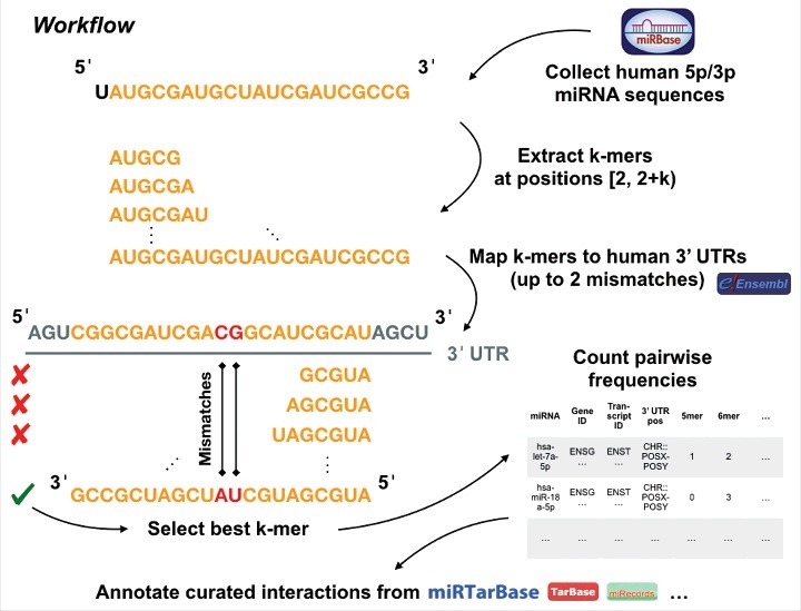 Figure 4A.