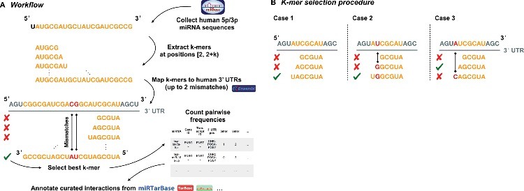 Figure 4B.